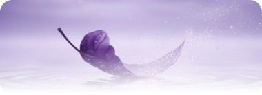 Bild treibendes Blatt auf Wasser und Text zu Loslassen